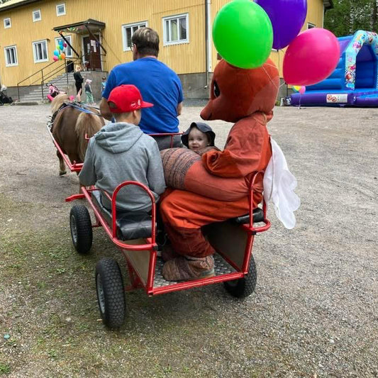 Puuhakerho Suolahden kansantalolla